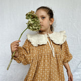 June Dress with Blossom Collar - Caramel Twig Print