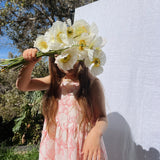 Birdie Dress - Petal Pink