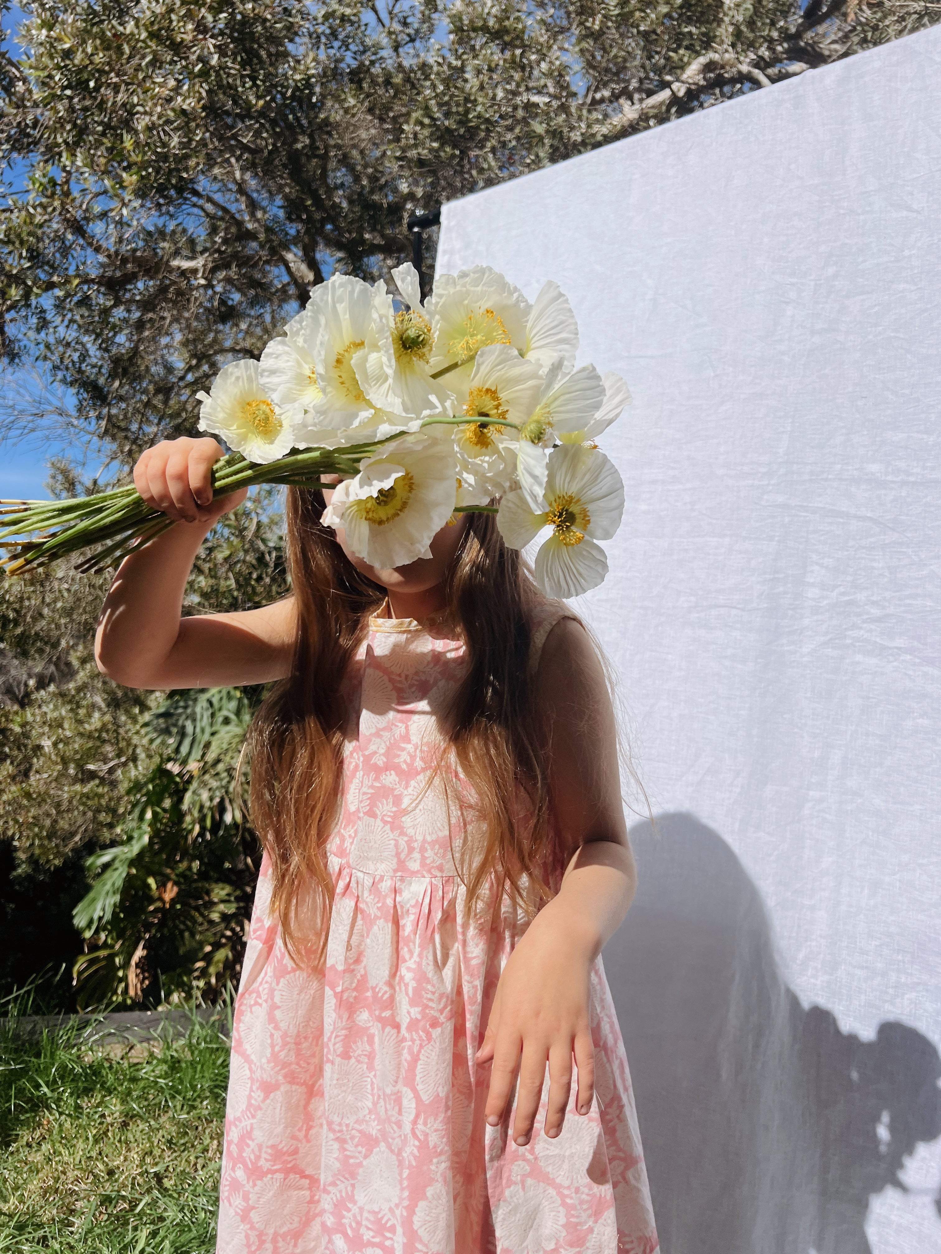 Spring Blooms