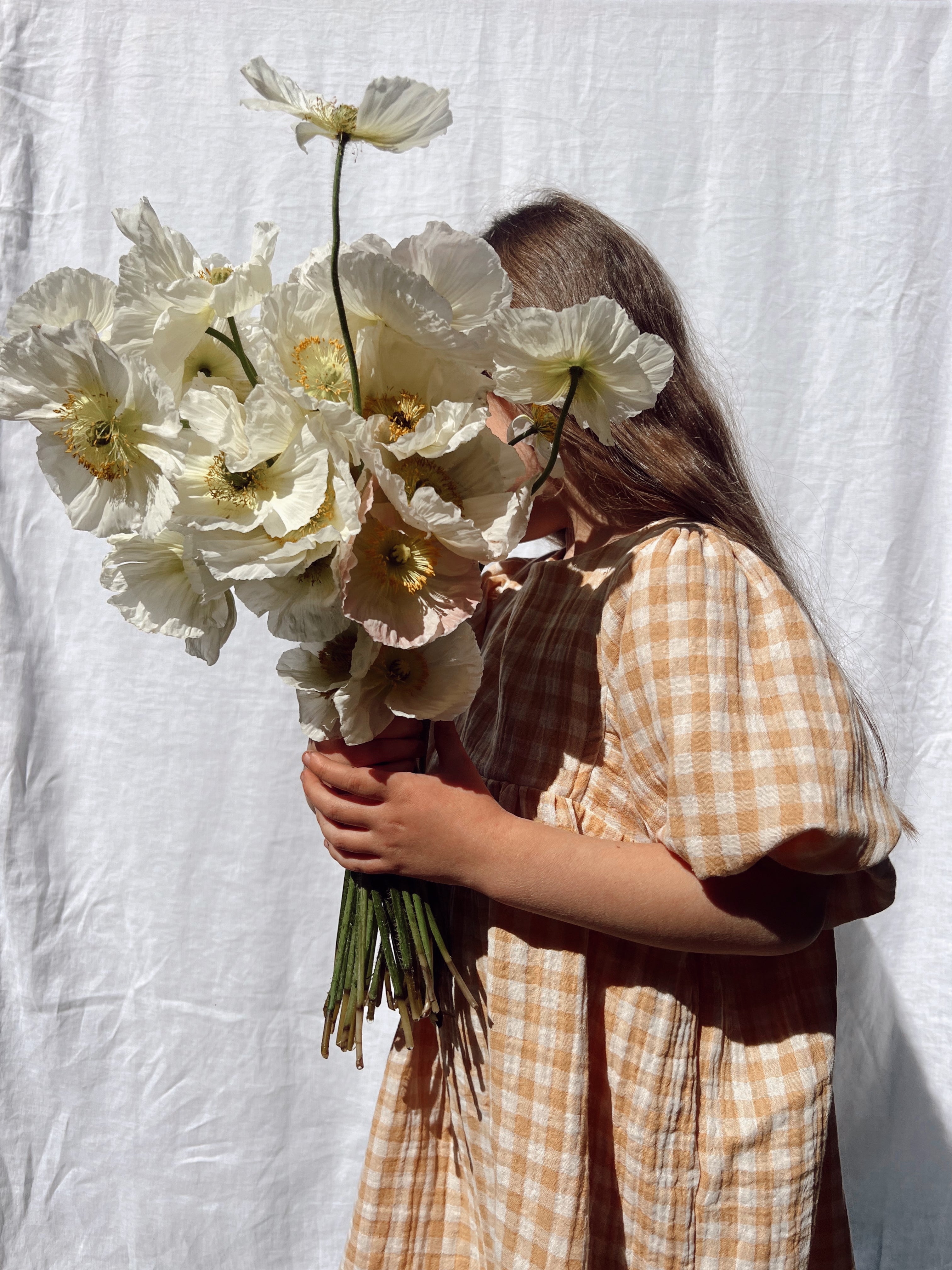 Spring Blooms